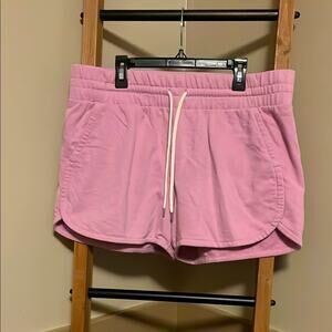 Women's Champion Pink/Purple Shorts Size Large
